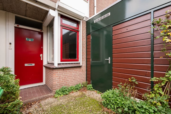 Foto 7 van King Olivereiland 40