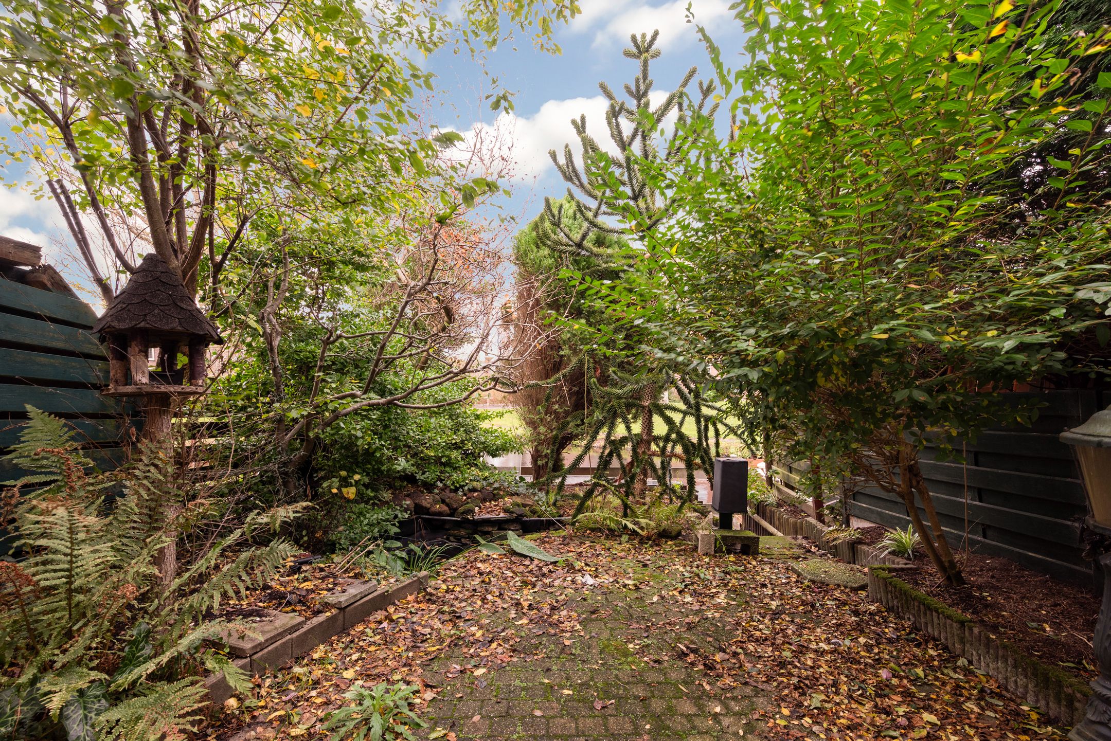 Foto 15 van King Olivereiland 40