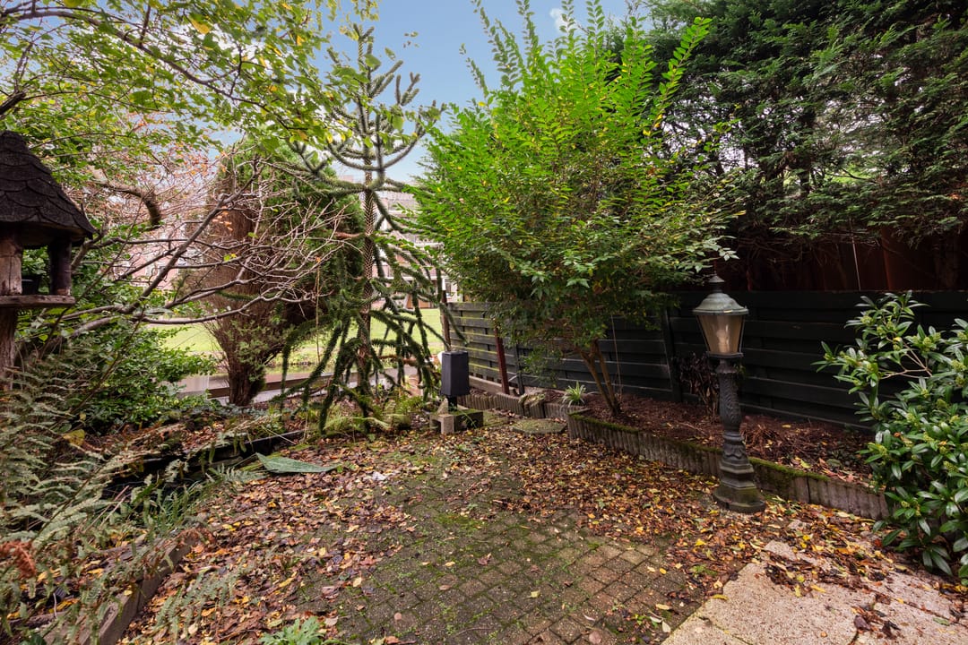 Foto 16 van King Olivereiland 40