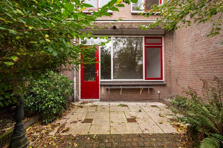 Foto 17 van King Olivereiland 40