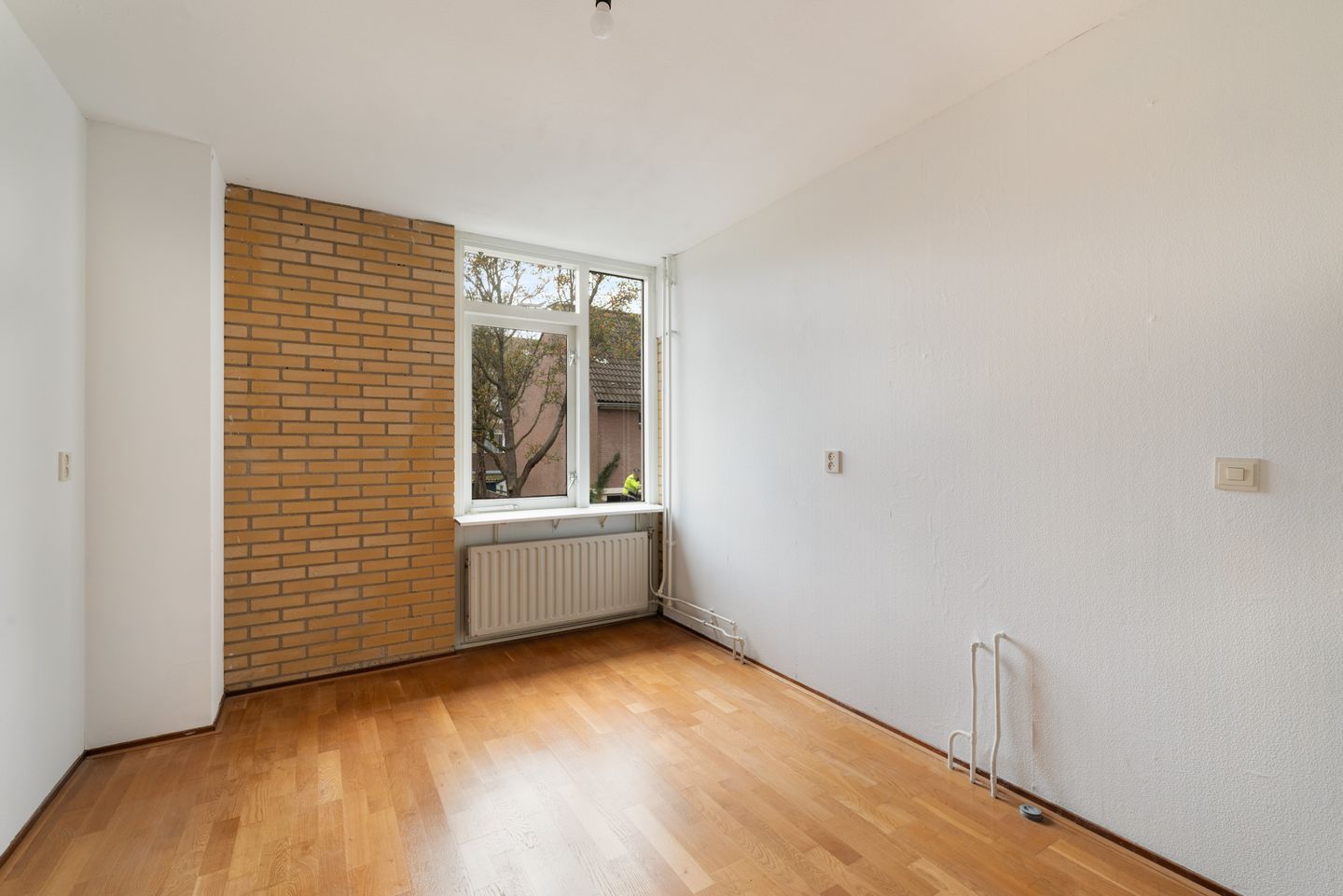 Foto 19 van King Olivereiland 40