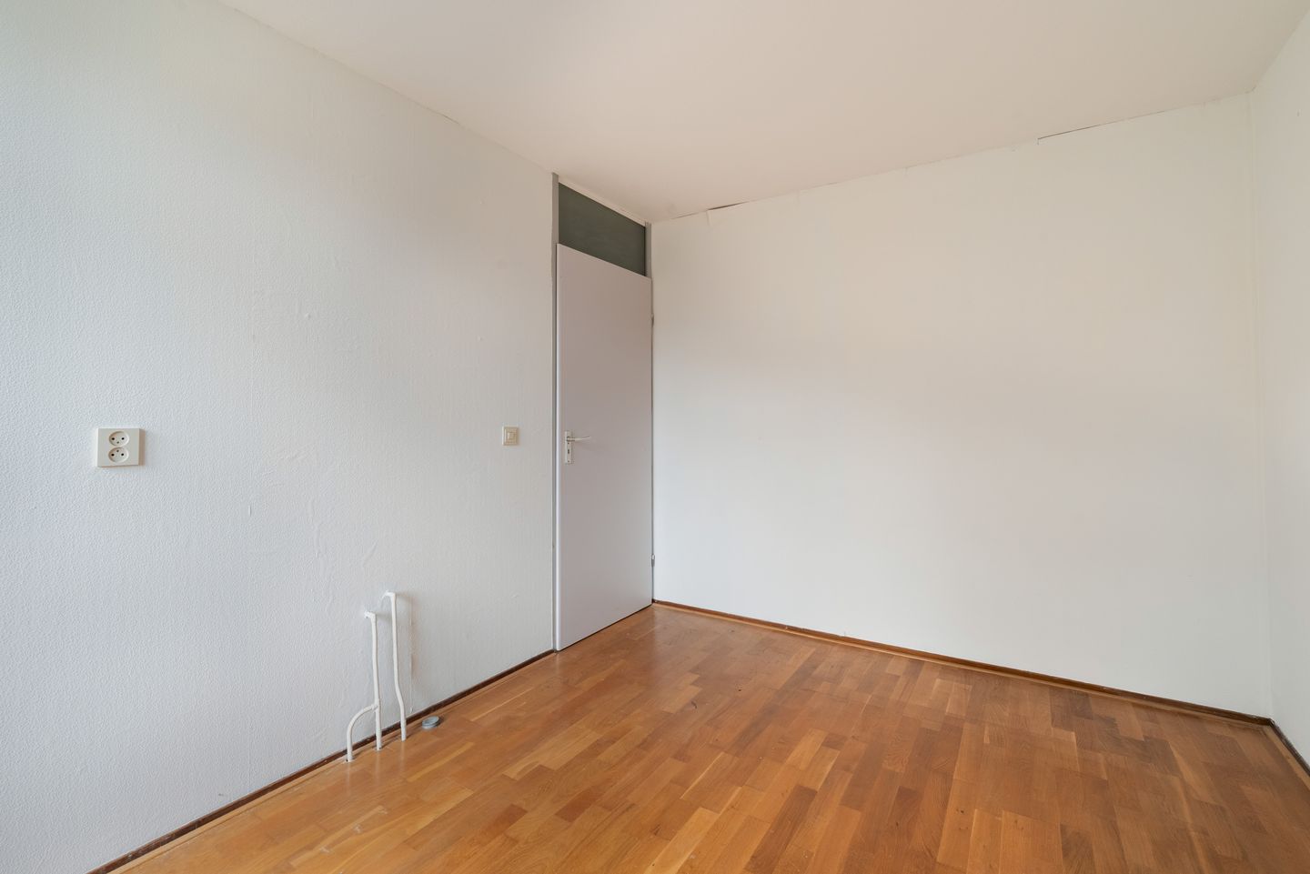 Foto 20 van King Olivereiland 40