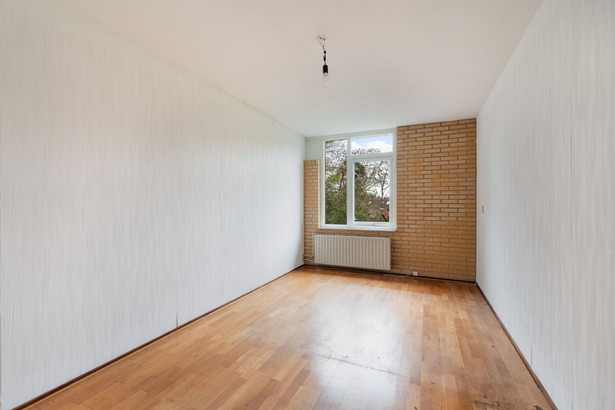 Foto 24 van King Olivereiland 40