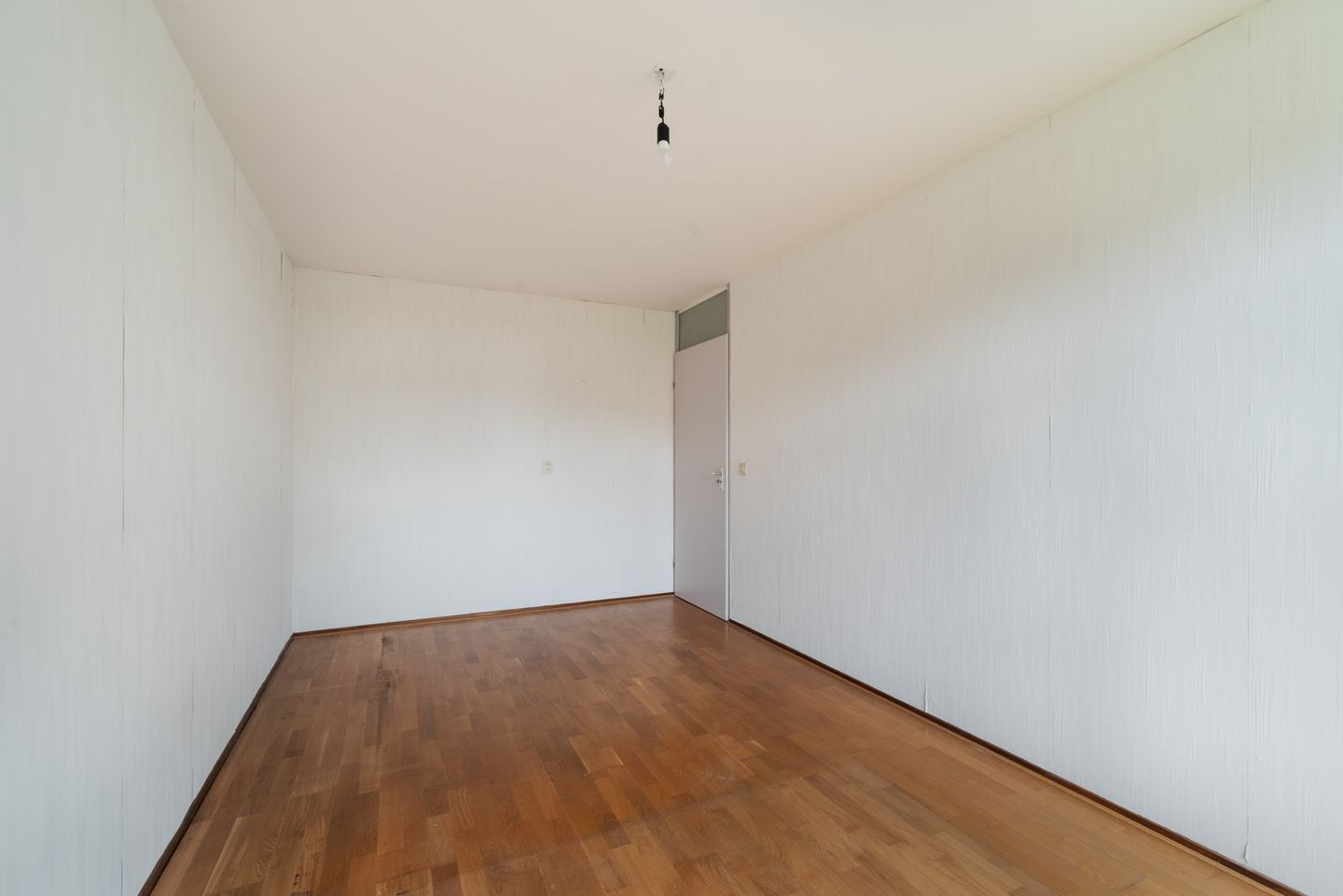 Foto 25 van King Olivereiland 40