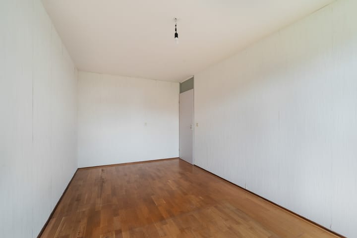 Foto 25 van King Olivereiland 40