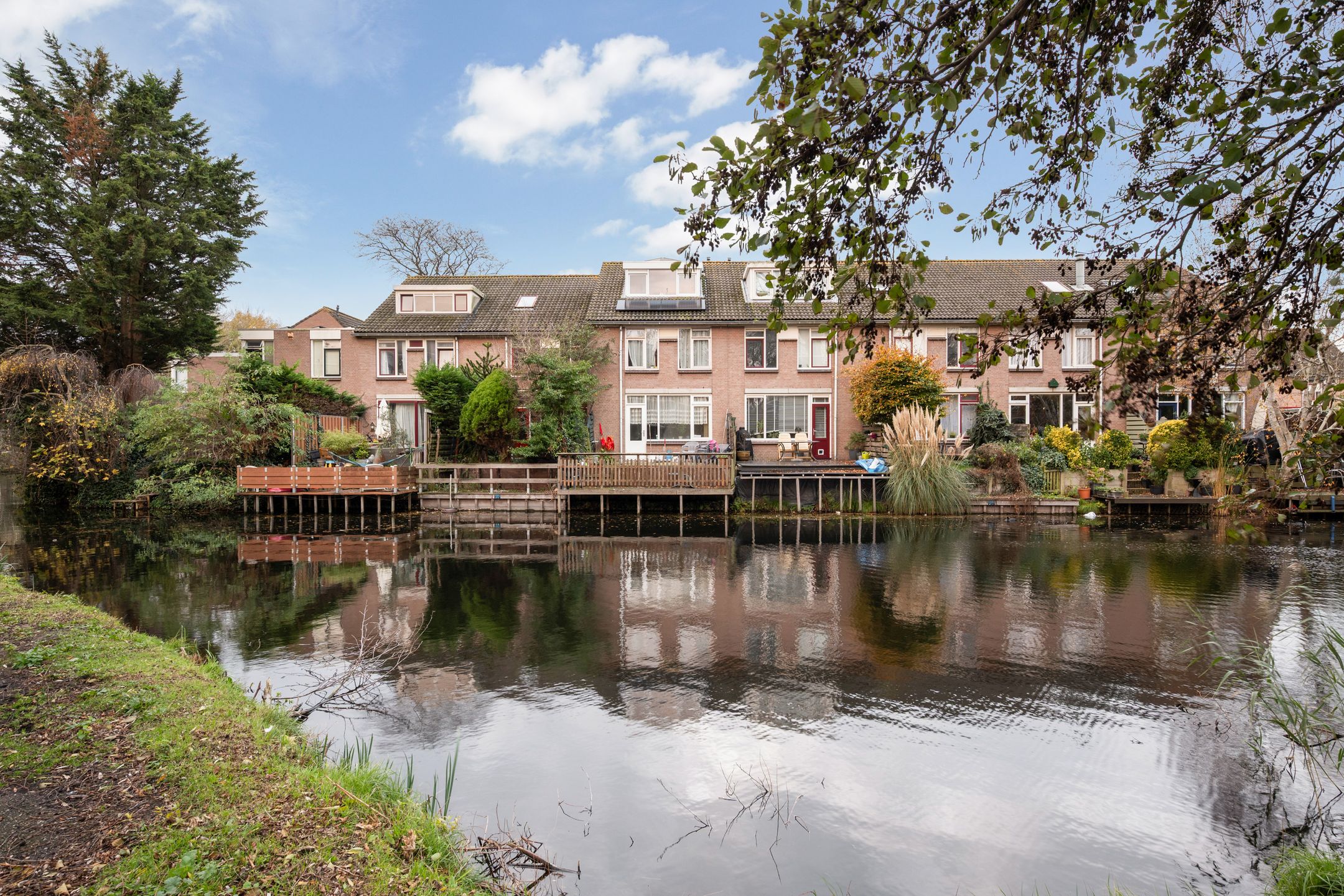 Foto 30 van King Olivereiland 40