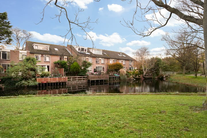 Foto 32 van King Olivereiland 40