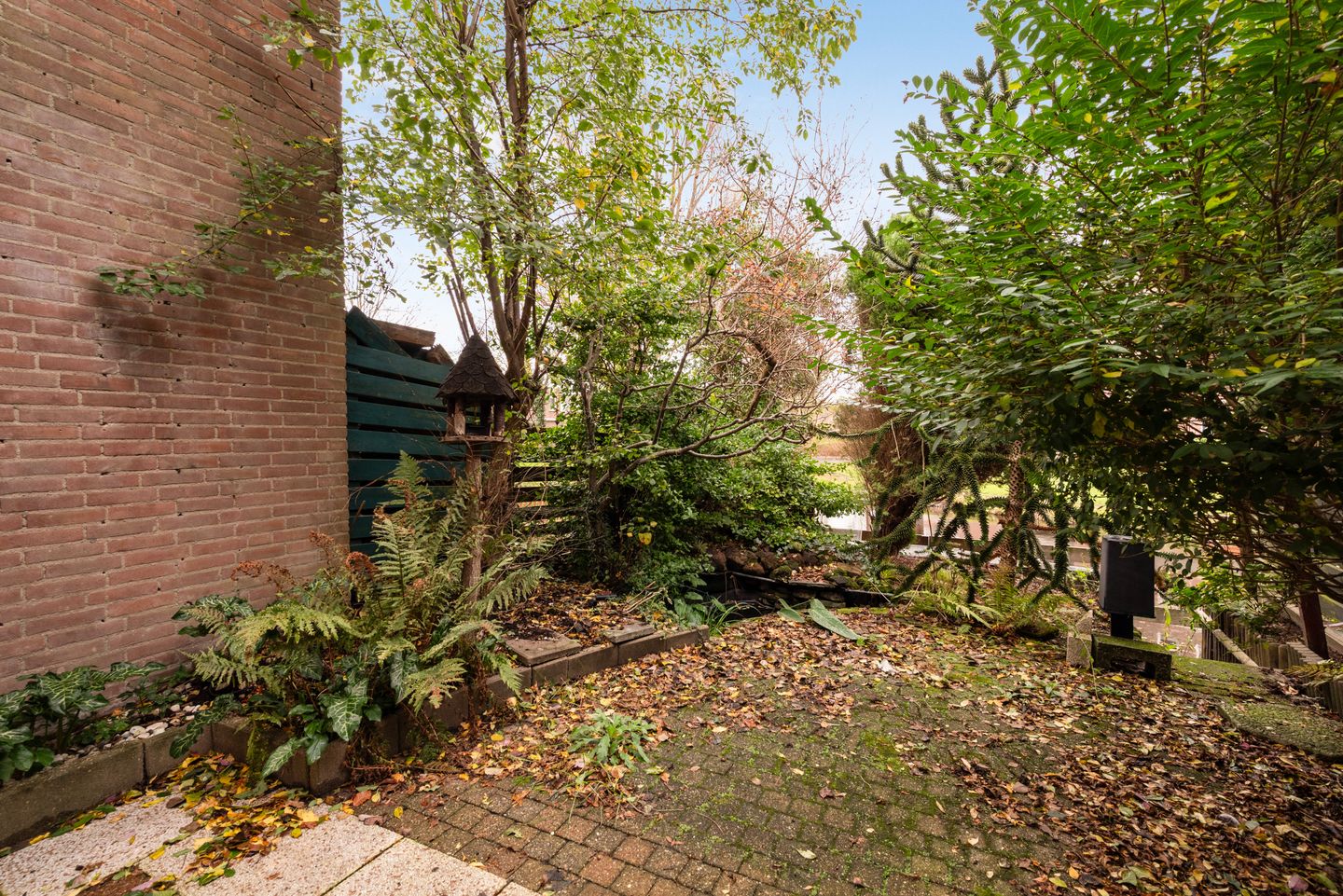 Foto 14 van King Olivereiland 40