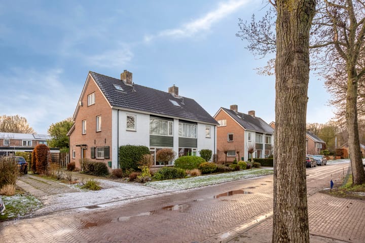 Foto 41 van Prinses Ireneweg 25