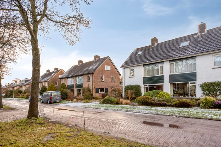 Foto 42 van Prinses Ireneweg 25