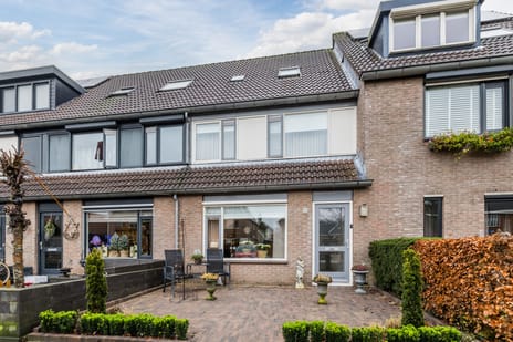 undefined main image