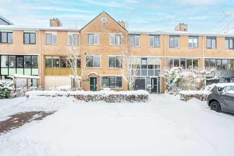 Distelvlinderberm thumbnail