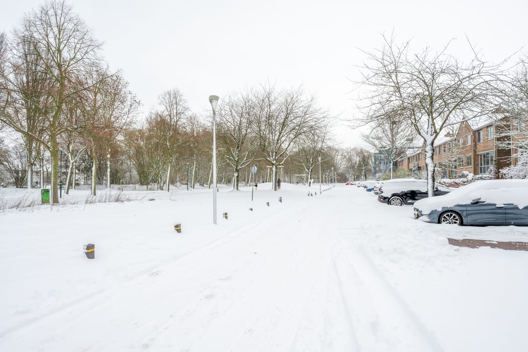 Foto 46 van Distelvlinderberm 88