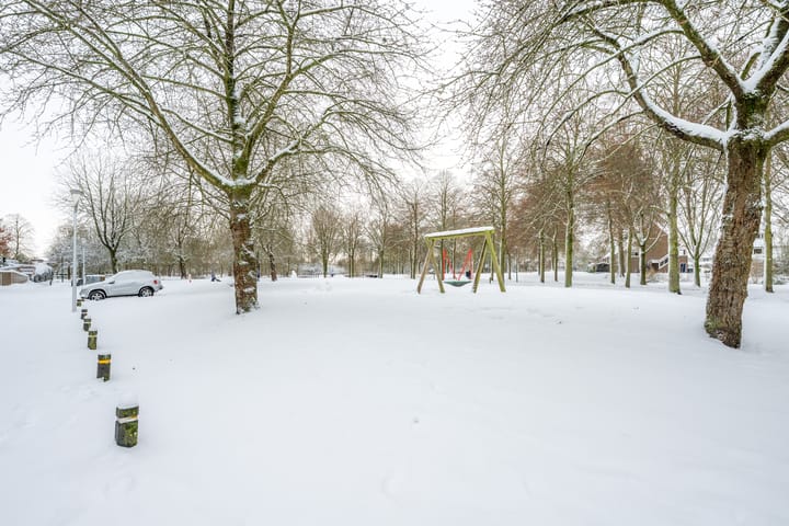 Foto 47 van Distelvlinderberm 88