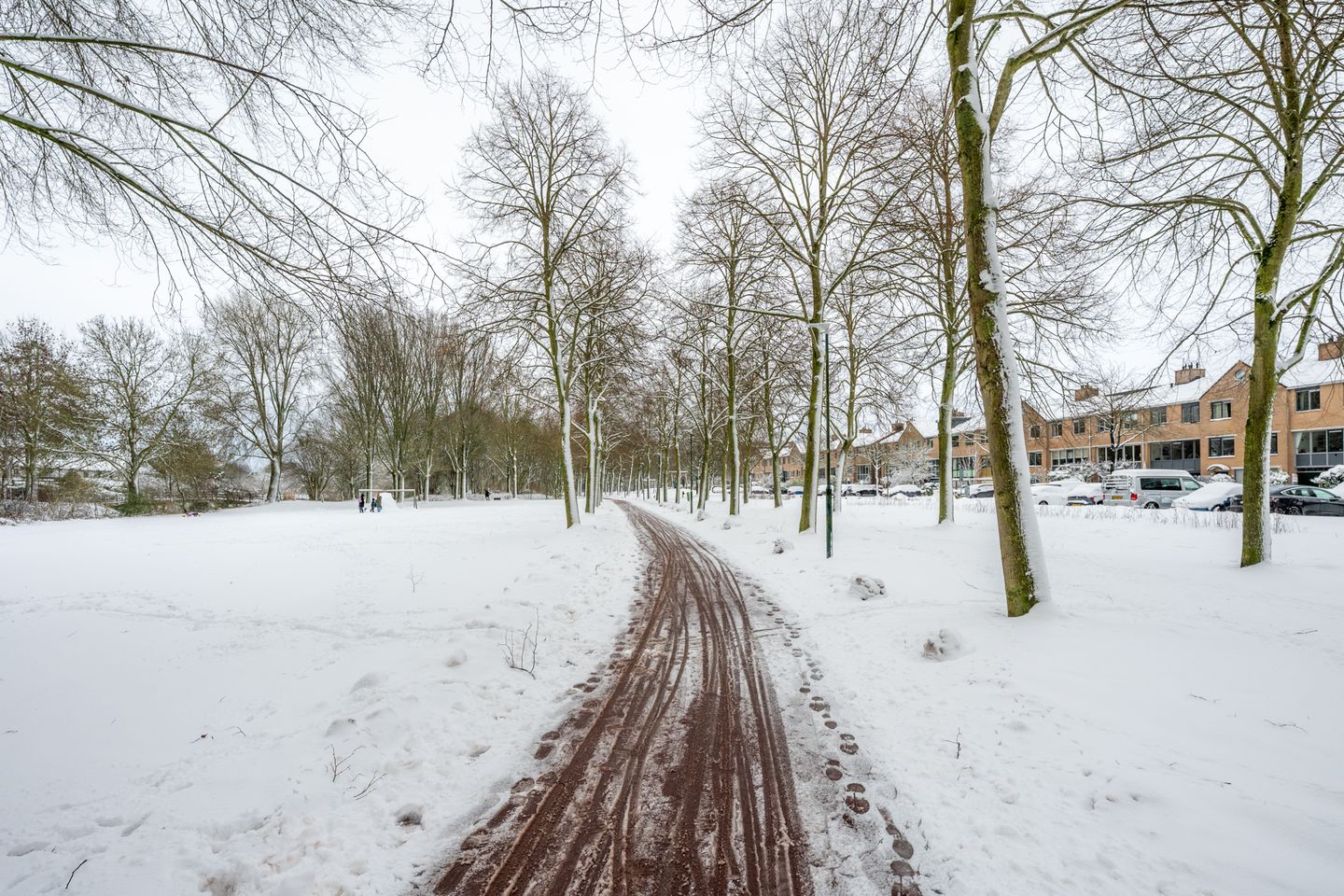 Foto 49 van Distelvlinderberm 88