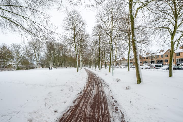 Foto 49 van Distelvlinderberm 88