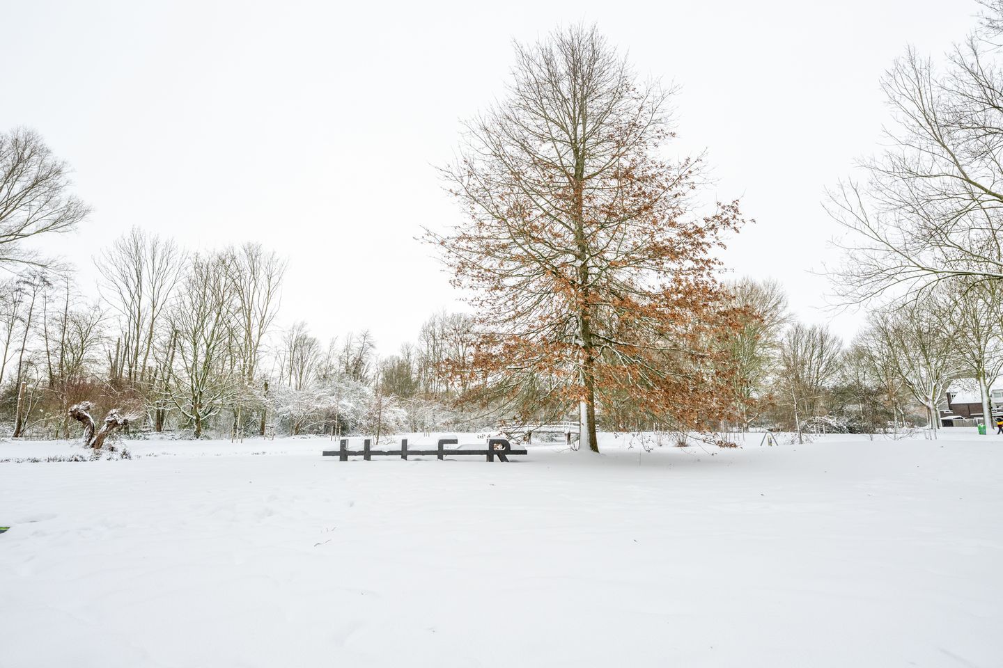 Foto 50 van Distelvlinderberm 88