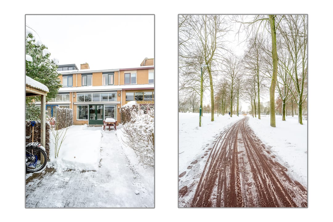 Foto 52 van Distelvlinderberm 88