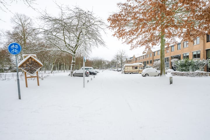 Foto 48 van Distelvlinderberm 88