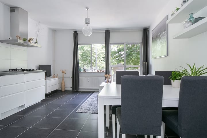 Foto 6 van Franklin D Rooseveltlaan 51