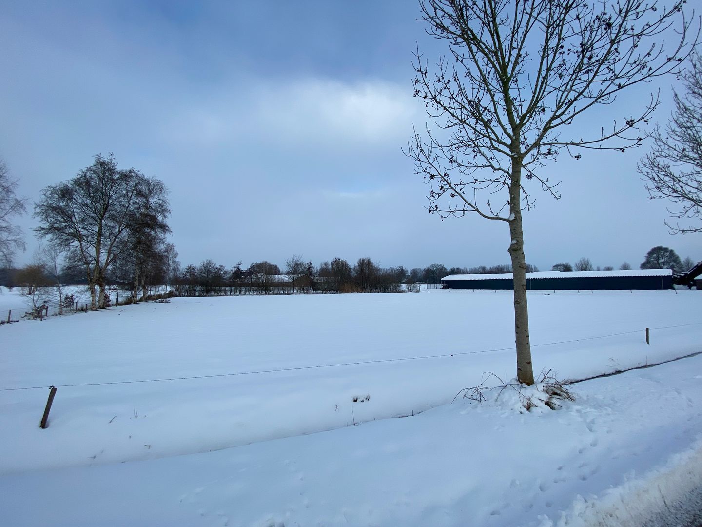 Bekijk foto 3 van Beemdkant