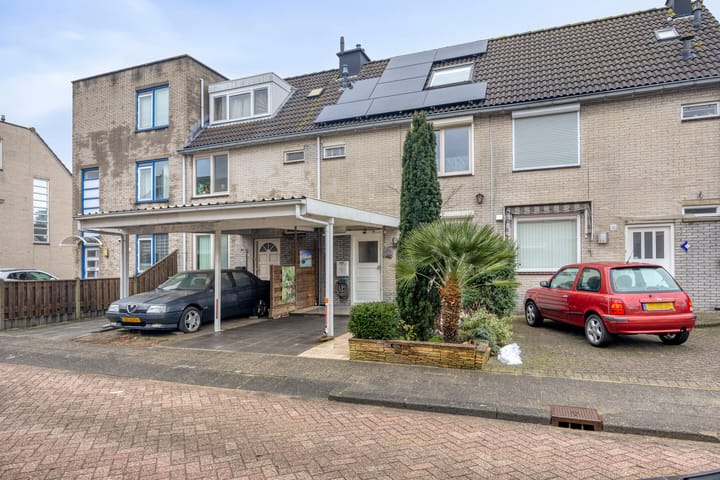 Amazonestraat 3