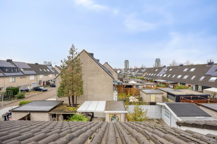 Foto 22 van Amazonestraat 3