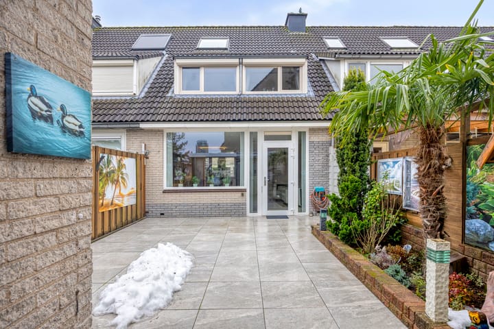 Foto 23 van Amazonestraat 3