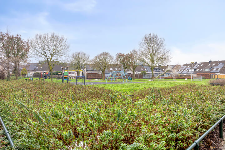 Foto 25 van Amazonestraat 3