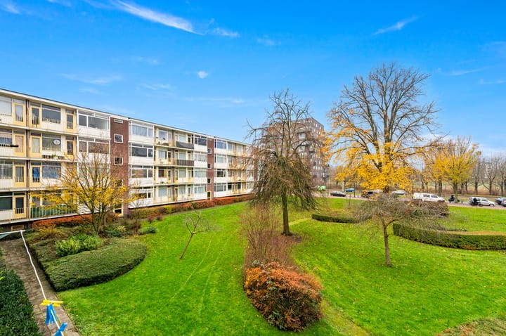 Foto 23 van Eeldeplantsoen 73