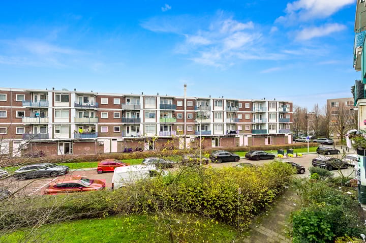 Foto 30 van Eeldeplantsoen 73