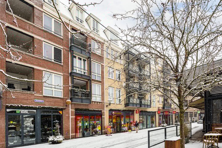 Foto 2 van Burchtplein 44