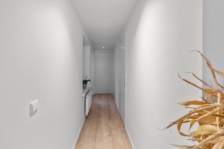 Foto 17 van Molenstraat 59