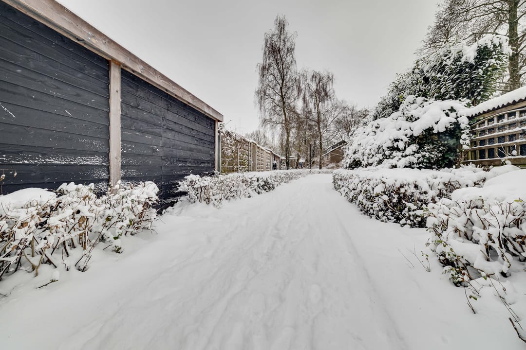 Photo 32 of Schrijnwerkershorst 721