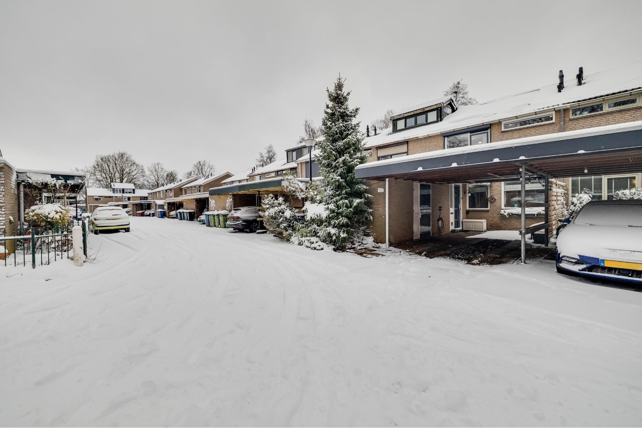 Photo 36 of Schrijnwerkershorst 721