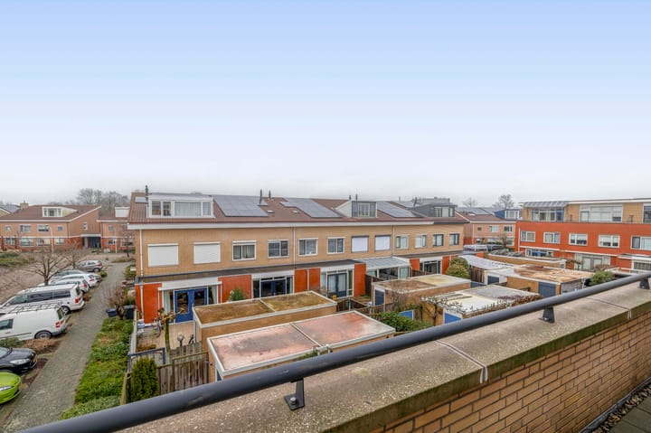 Foto 31 van Karekiet 100