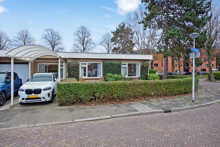 Foto 37 van Boeroestraat 22-A