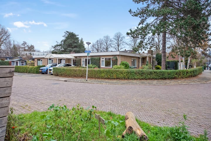 Foto 39 van Boeroestraat 22-A