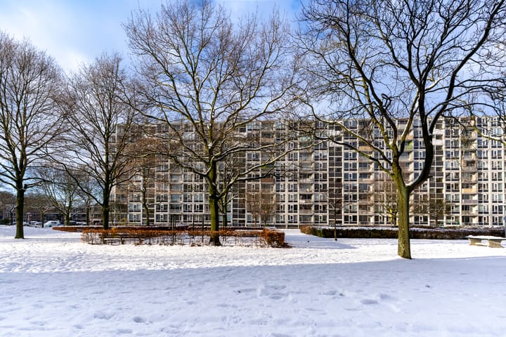 Foto 2 van Dommeringdreef 179