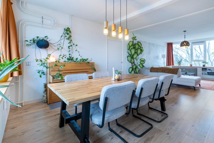 Foto 10 van Dommeringdreef 179