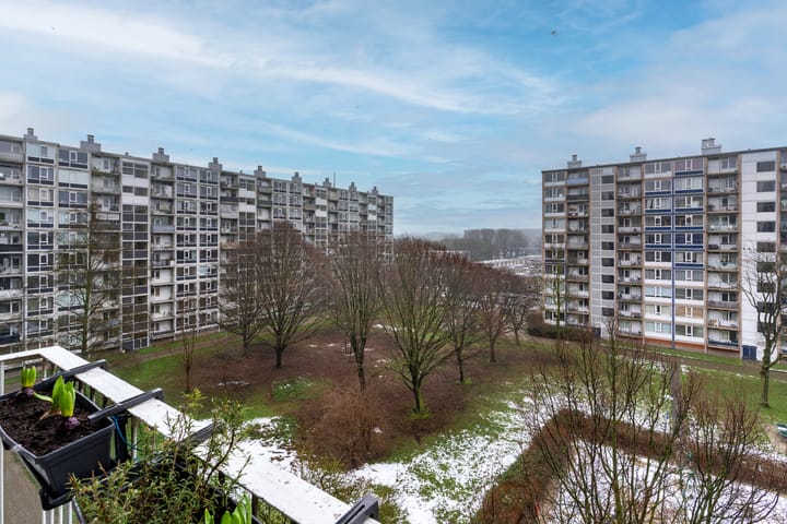 Foto 13 van Dommeringdreef 179