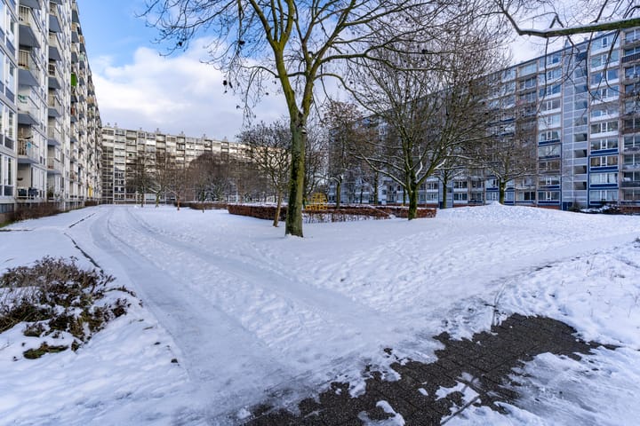 Foto 37 van Dommeringdreef 179