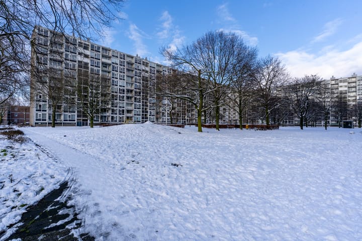 Foto 38 van Dommeringdreef 179