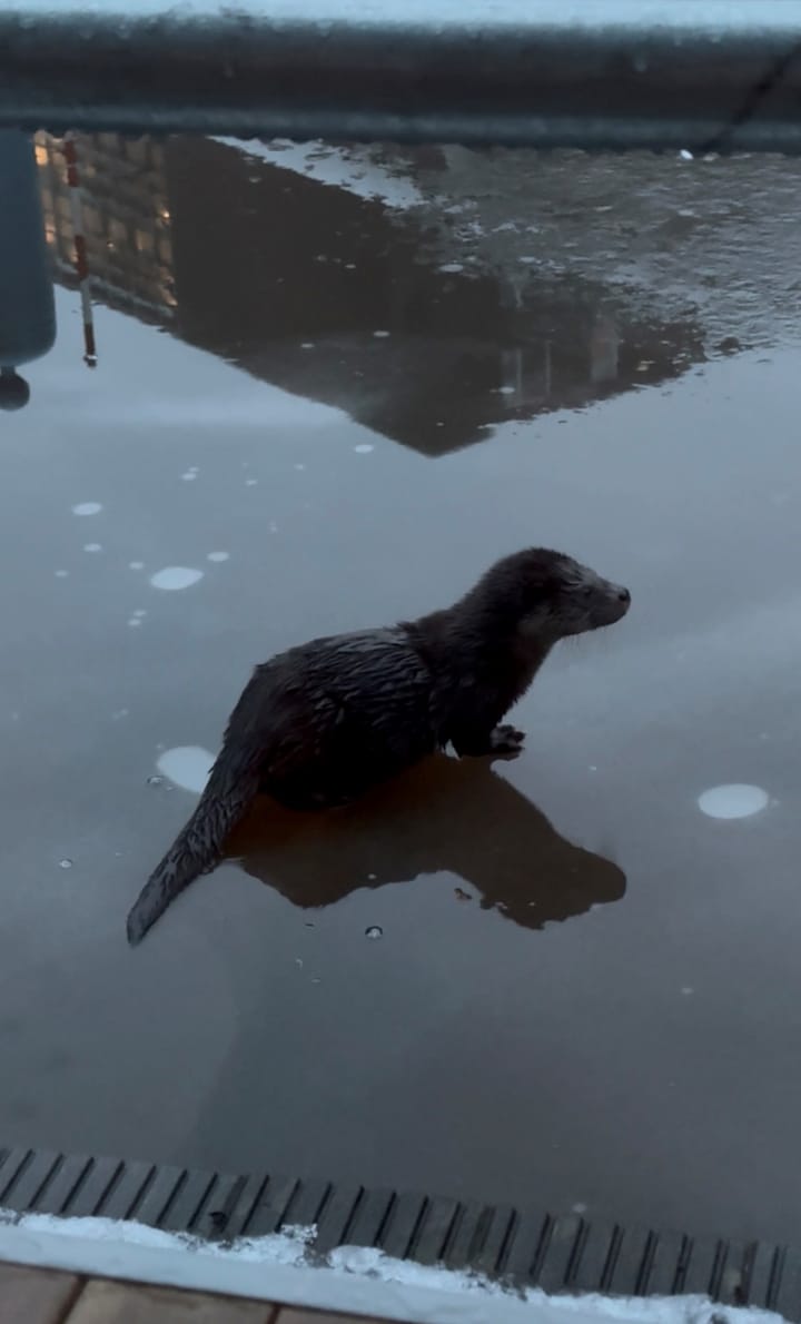 Foto 47 van Winschoterdiep 1001-A