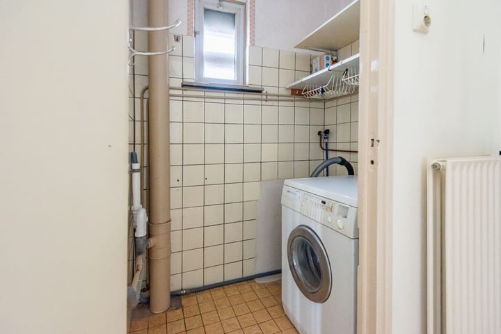 Foto 10 van Diergaarde 12