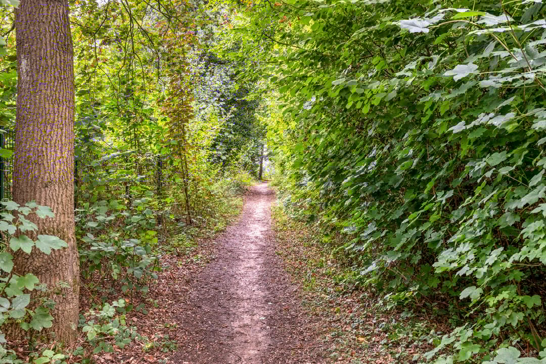 Foto 46 van Vossehol 55