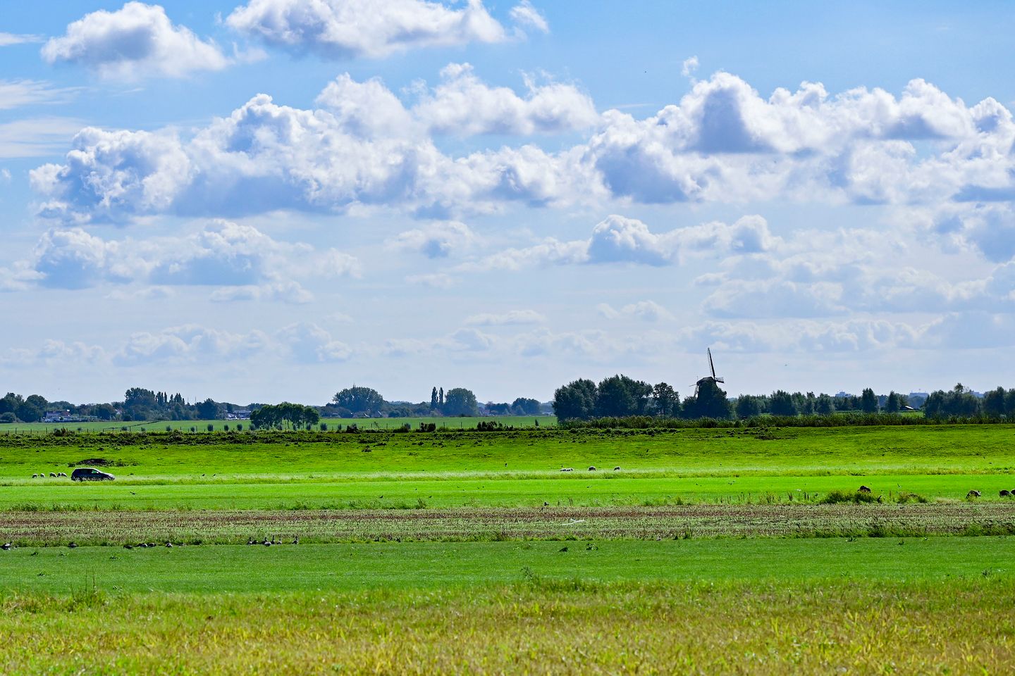 Foto 35 van Boeghof 6