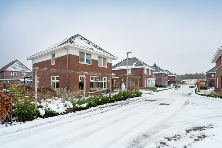 Foto 39 van Beeldentuin 19