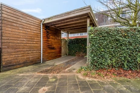 Ambon 32 tertiary image