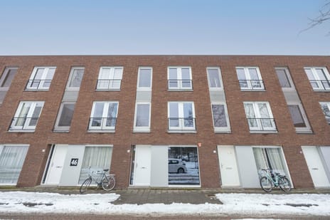 undefined main image